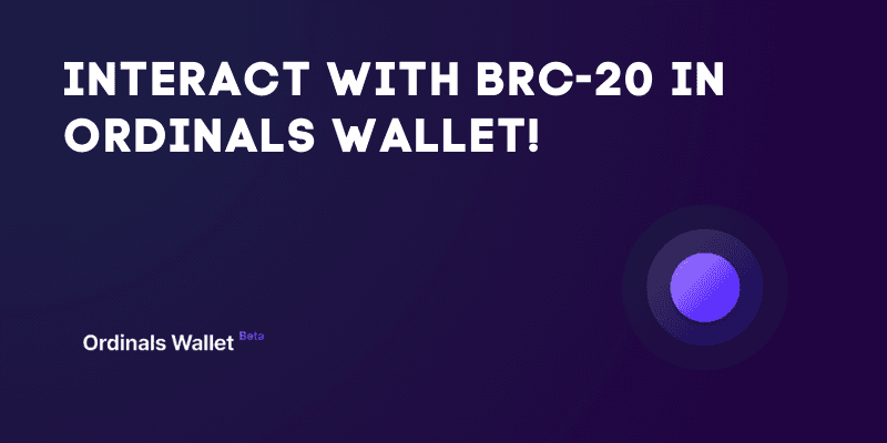 How To Interact With BRC-20 In Ordinals Wallet