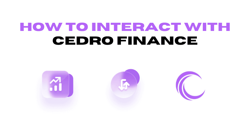How To Interact With Cedro Finance