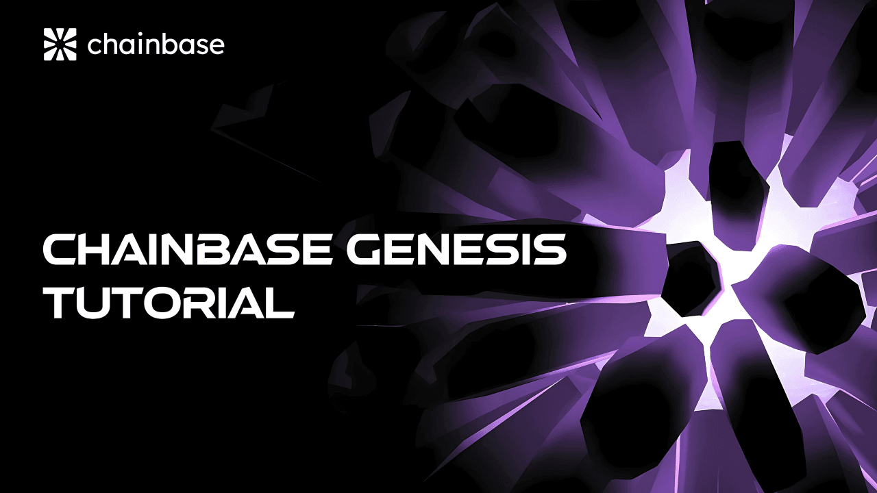 How To Interact With Chainbase Testnet