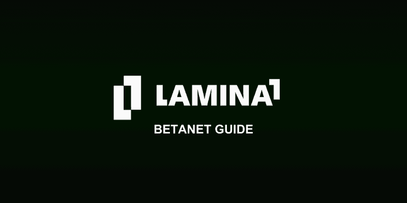 How To Interact With The Lamina1 BetaNet