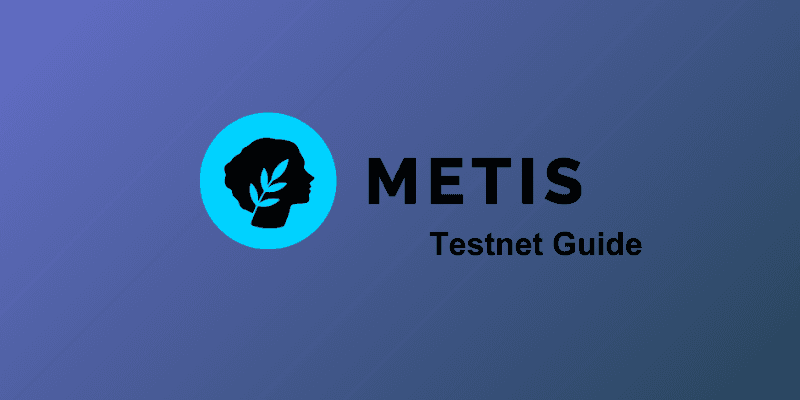 How To Interact With The Metis Testnet