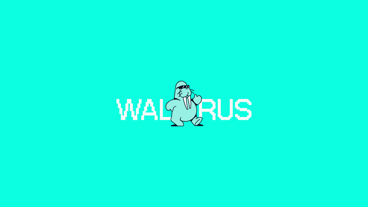 How To Interact With Walrus Testnet