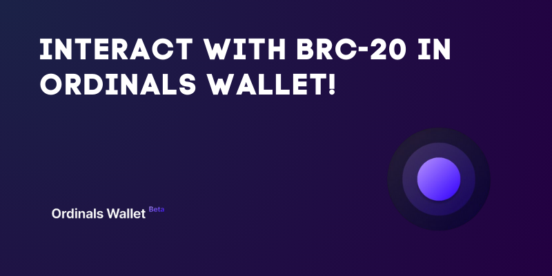 How To Interact With BRC-20 In Ordinals Wallet