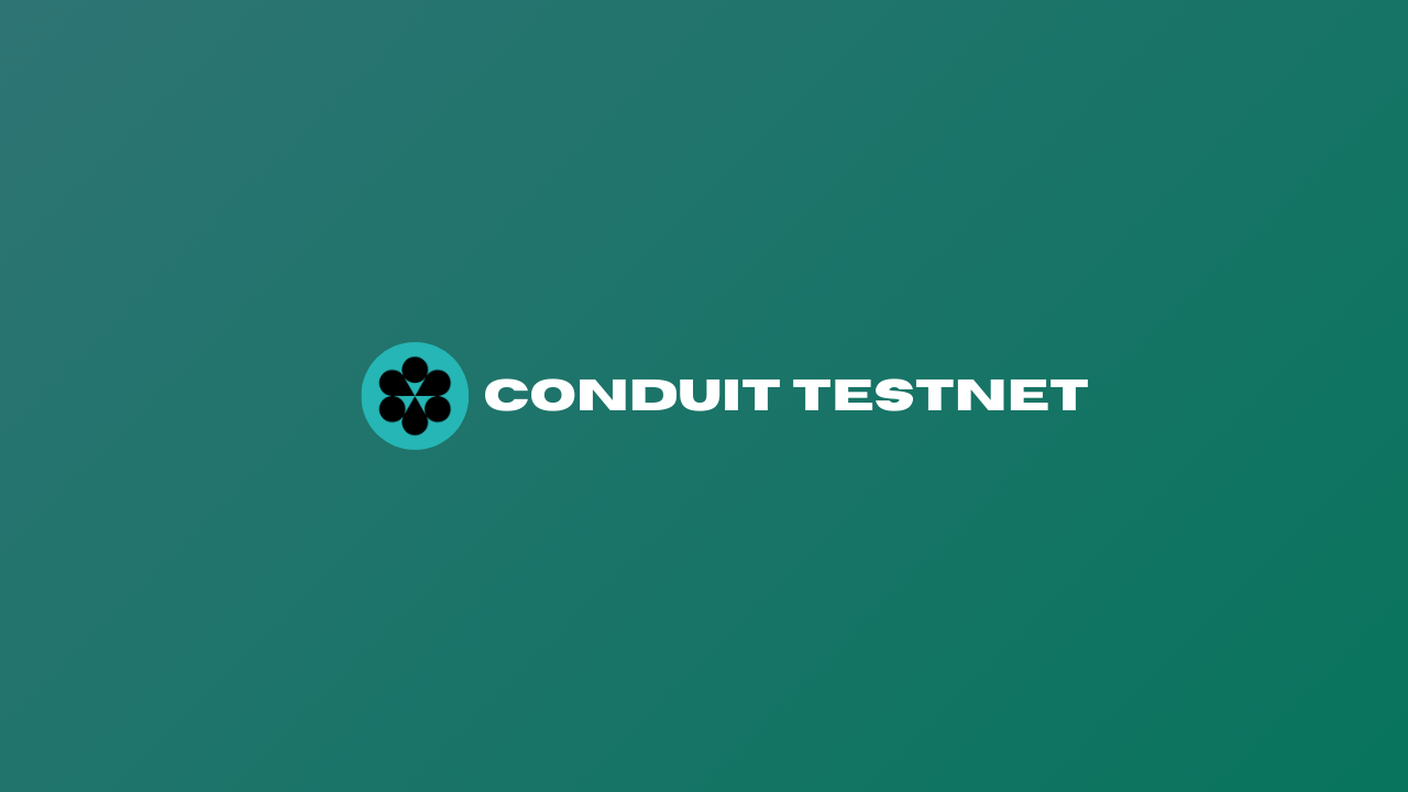 How To Interact With Conduit Testnet