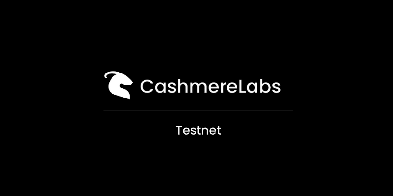 How To Interact With The Cashmere Labs Testnet