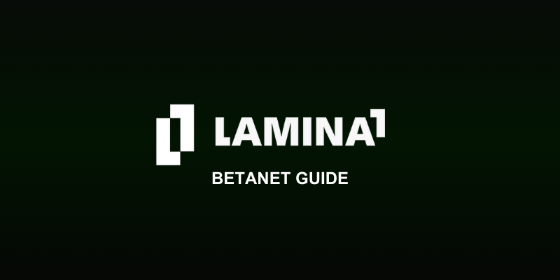 How To Interact With The Lamina1 BetaNet