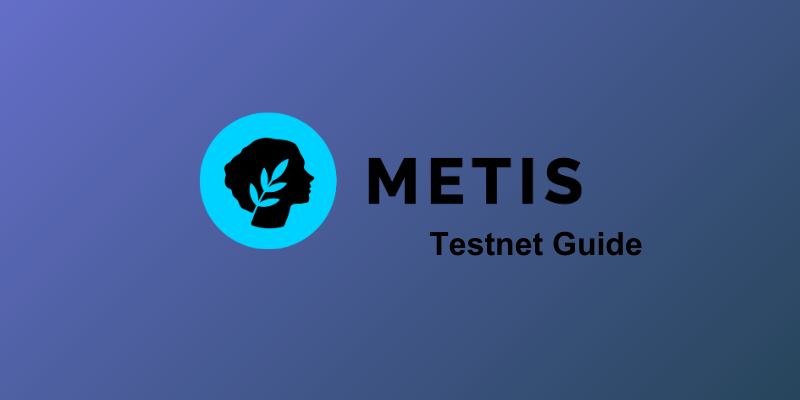 How To Interact With The Metis Testnet